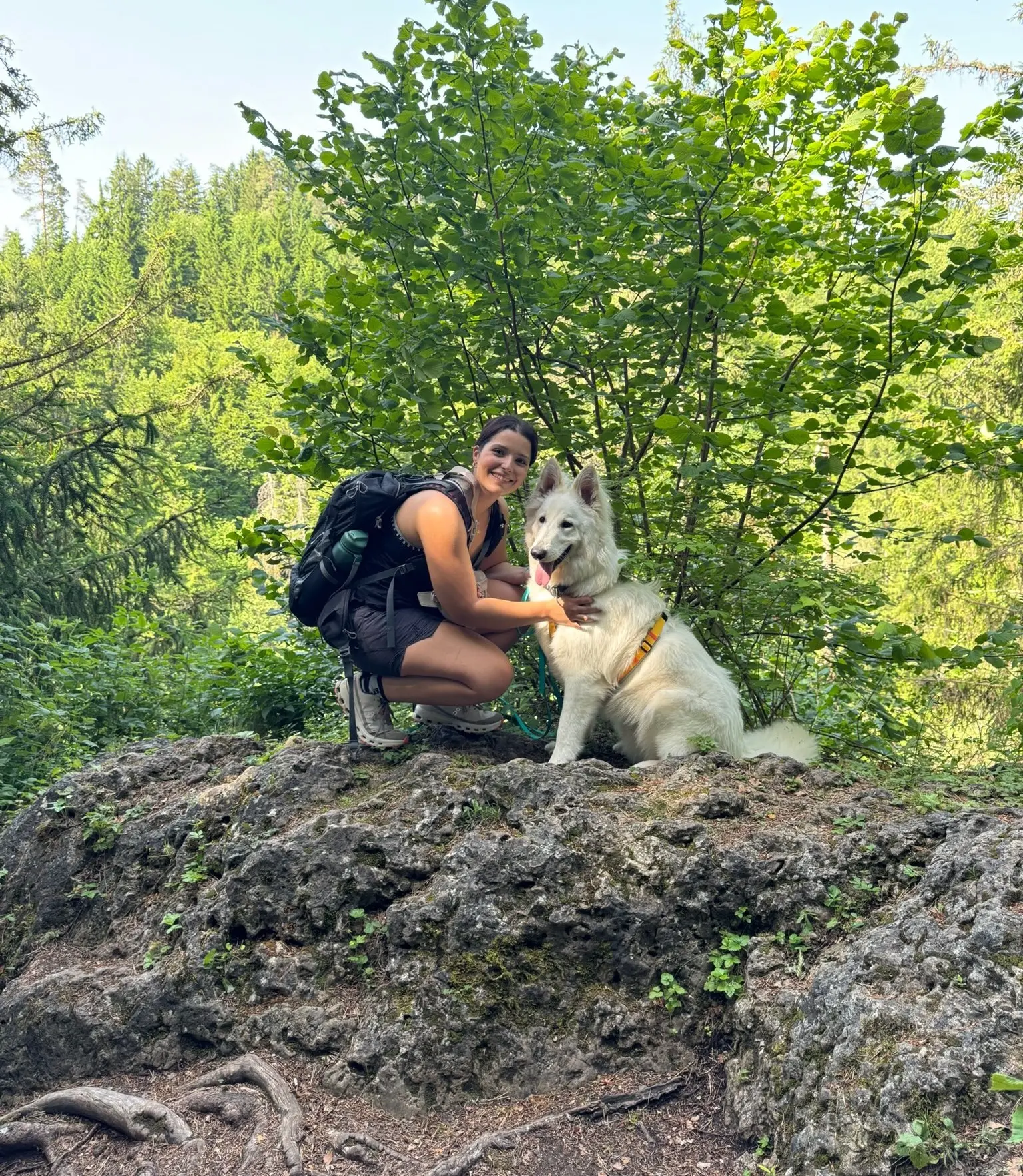 Tagesbetreuung für Hunde bei DailyPaw