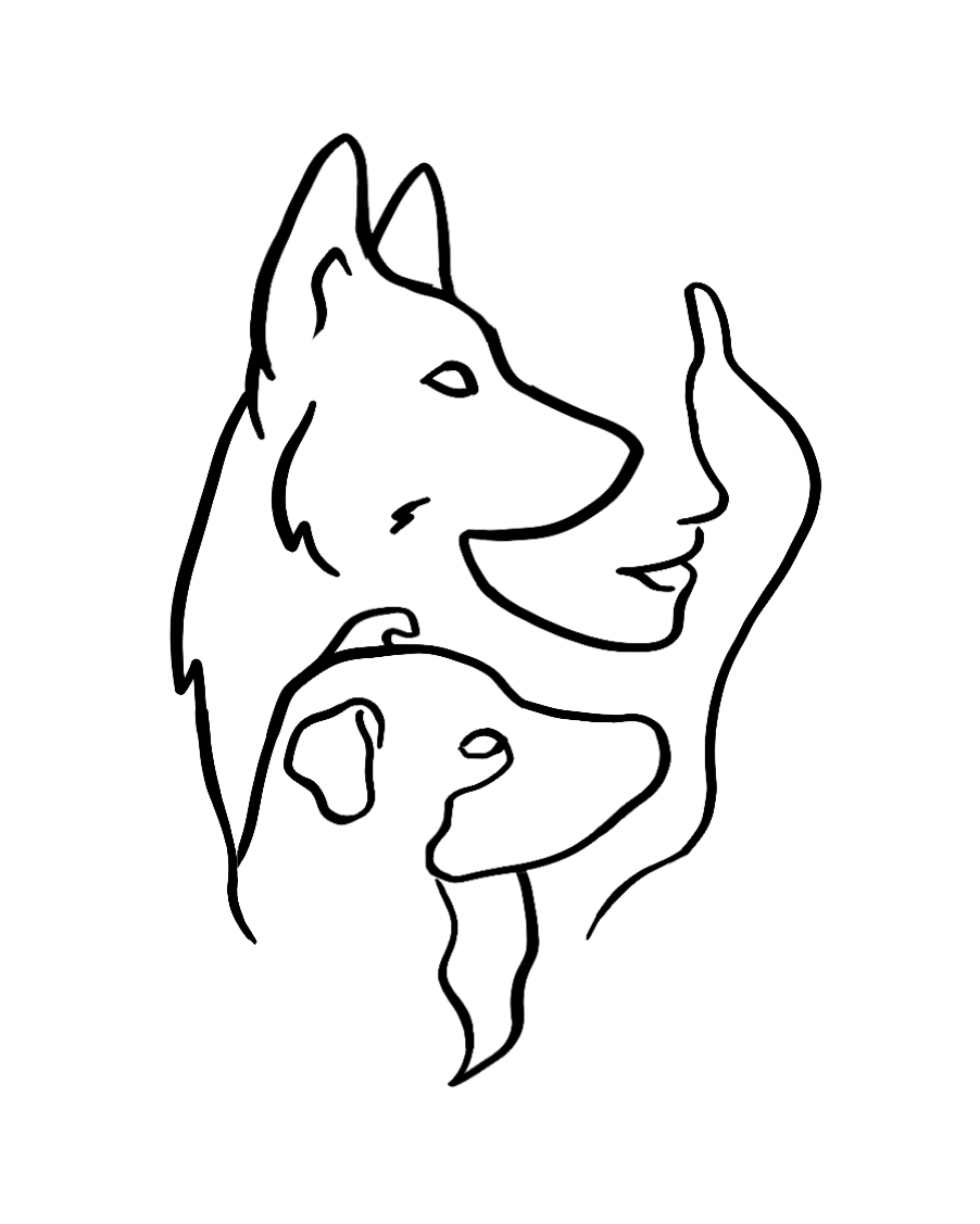 DailyPaw Logo